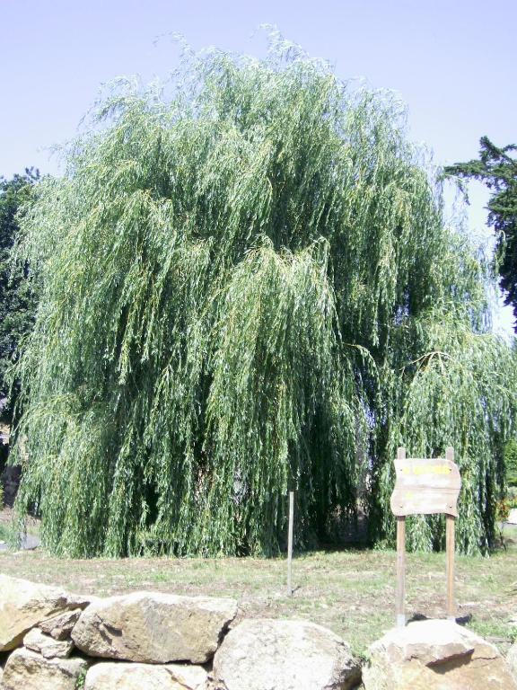 La Bergerie Villa Camlez Dış mekan fotoğraf